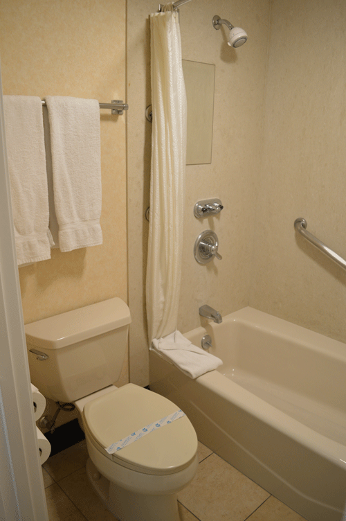 Deluxe King room bathroom photo