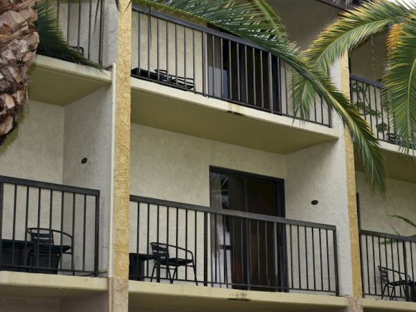 A row of hotel balconies with black railings, palm trees, and chairs outside each door, sunshine on light beige walls, tropical vibe.