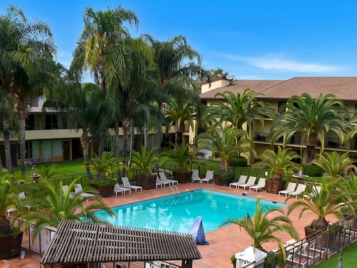 A tropical hotel courtyard with a rectangular pool, surrounded by palm trees, lounge chairs, and a two-story building in the background, sunny and serene.